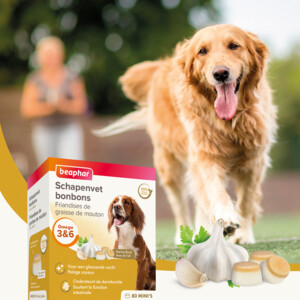 Beaphar Schapenvet Bonbons Mini Knoflook 245 gr