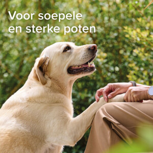 Beaphar Voetzolenspray 150 ml