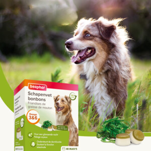 Beaphar Schapenvet Bonbons Zeewier - 6.45 euro