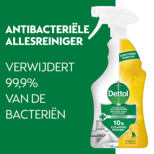 12x Dettol Power & Fresh Spray Citroen & Limoen Allesreiniger - 47.89 euro