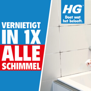 6x HG Schimmel & Aanslagreiniger Schuimspray - 54.99 euro