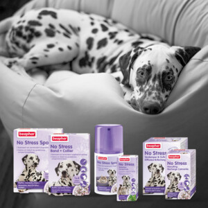 Beaphar No Stress Hond  Navulling 30 ml
