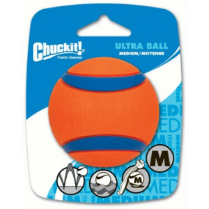 plein.nl | Chuckit Ultra Ball 1 - pack 6 cm