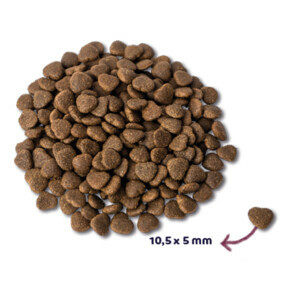 Renske Super Premium Adult Kattenvoer Zalm 1,5 kg