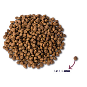 Renske Super Premium Kitten Kattenvoer Kalkoen & Kip 6 kg
