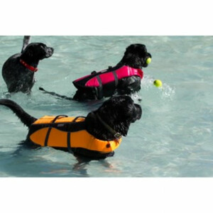 Outward Hound Ripstop Life Jacket Medium - 37.95 euro