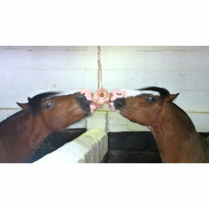 Excellent Salt Lick Himalaya 2-3 kg 