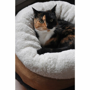 Afp Lambswool Donut Bed Tan 45 x 45 x 25 cm
