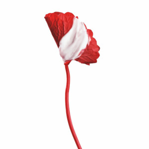 L'Oréal Revitalift Cicacreme Oogcreme - 20 euro