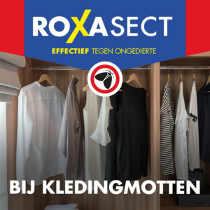 3x Roxasect Mottenval - 21.32 euro