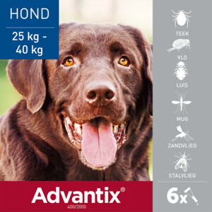 Advantix Spot On 400 Anti Vlooien en Teken Druppels Hond 25 - 40 kg 6 pipetten