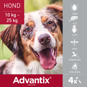 Advantix Spot On 250 Anti Vlooien en Teken Druppels Hond 10 - 25 kg 4 pipetten