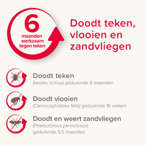 Beaphar Canishield Anti Vlooien en Tekenband Hond S - M 48 cm