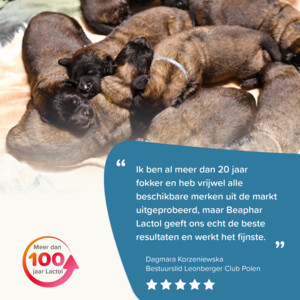 Beaphar Lactol Melk Puppy - 19.05 euro