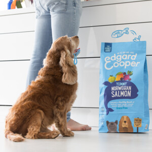 Edgard & Cooper Hondenvoer Noorse Zalm 12 kg