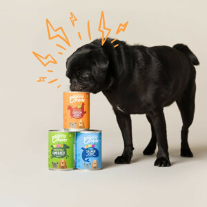 Edgard & Cooper Blik Vers Vlees Hondenvoer Wild - Eend 400 gr