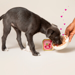 11x Edgard & Cooper Kuipje Vers Vlees Puppy Hondenvoer Eend - Kip 150 gr
