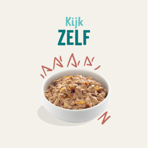 11x Edgard & Cooper Kuipje Vers Vlees Senior Hondenvoer Kip - Zalm 150 gr