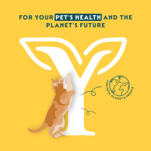 12x Yarrah Bio Kattenvoer Paté Vis 400 gr