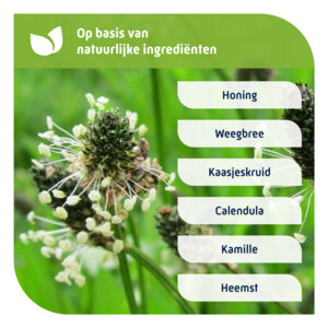Natterman Nacht Voor Alle Hoest - 12.29 euro