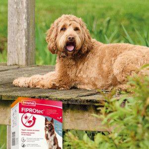 Beaphar Fiprotec Anti Teken- en Vlooiendruppels Hond 10 - 20 kg - 20.55 euro