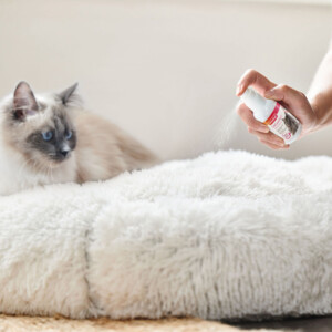 Beaphar CatComfort Spray 60 ml