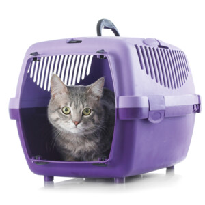 Beaphar CatComfort Spray 60 ml