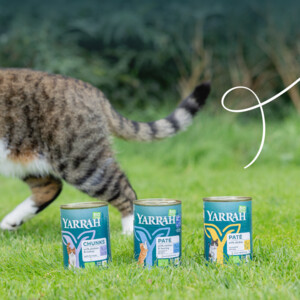 12x Yarrah Bio Kattenvoer Paté Kip 400 gr