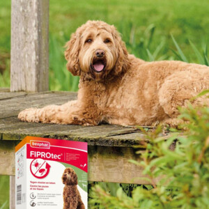 Beaphar Fiprotec Anti Teken- en Vlooiendruppels Hond 20 - 40 kg - 21.05 euro