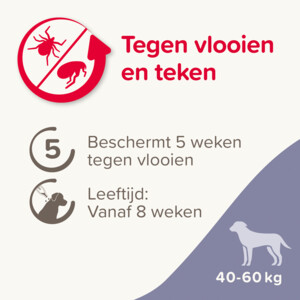 Beaphar Fiprotec Anti Teken- & Vlooiendruppels Hond 40 - 60 kg 4 stuks