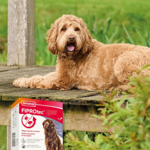Beaphar Fiprotec Anti Teken- & Vlooiendruppels Hond 40 - 60 kg - 24.25 euro