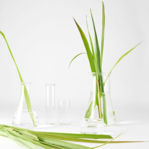 Garnier Bio Reinigingsgel Citroengras Detox - 7.79 euro
