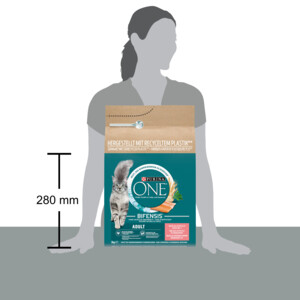 Purina ONE Adult Zalm - Volkoren Granen 3 kg