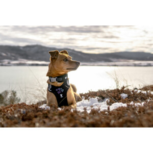 Hurtta Weekend Warrior Harness Zwart 80 - 100 cm