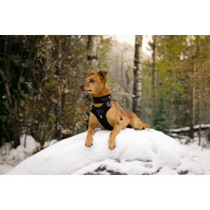 Hurtta Weekend Warrior Harness Zwart 80 - 100 cm