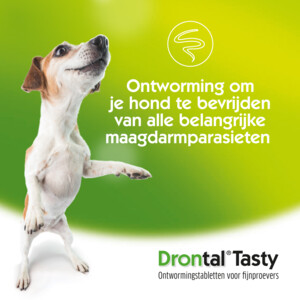 Drontal Ontworming Tabletten Hond vanaf 35 kg 2 tabletten