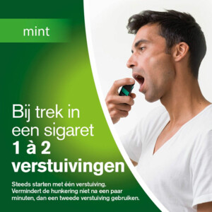 Nicorette Mondspray Mint Duo 1 mg - 41.69 euro