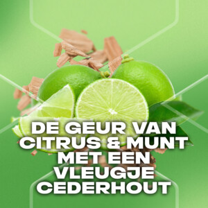 Axe 3-in-1 Douchegel Green Mojito & Cedarwood - 3.89 euro